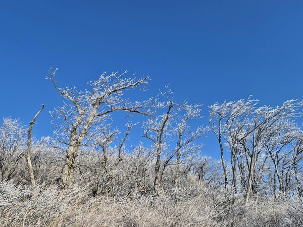 Approches Holistiques et Cancer : Un Allié Inestimable pour Votre Soutien